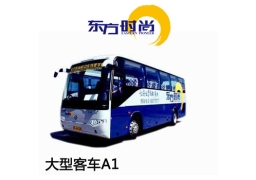 增驾大客驾照班