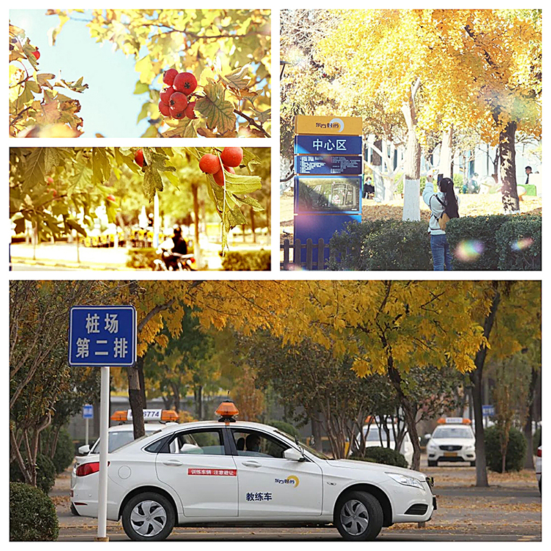 驾照科目三安全文明驾驶常识