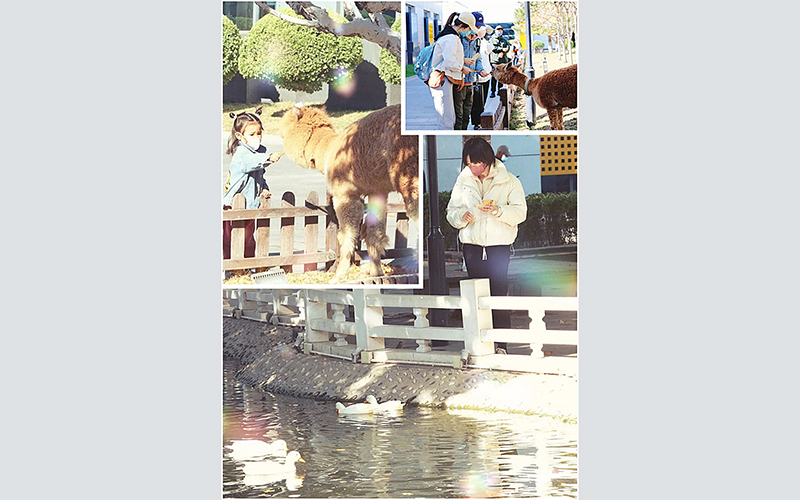 北京东方时尚驾校休闲区